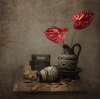 Rustikales Anthurium Stillleben von Margareth Perfoncio