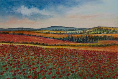 Mohnfelder..Flandern von Margo Starkey