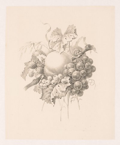 Komposition von Früchten von Maria Geertruida de Goeje Barbiers (attributed to)