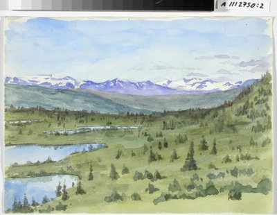 Landschaftsstudie aus Norwegen von Maria Wiik