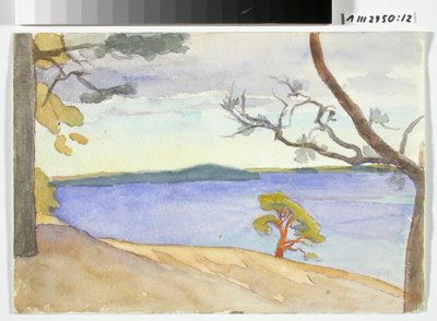 Küstenlandschaft von Maria Wiik