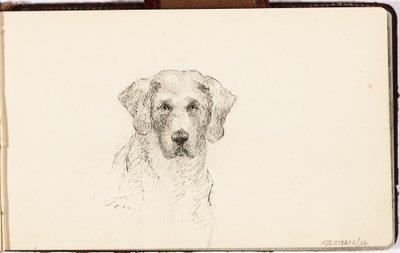 Ohne Titel von Maria Wiik