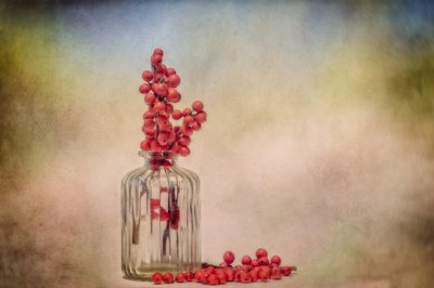 Rustikales Beeren-Stillleben von Marie-anne Stas