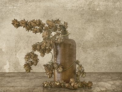 Rustikales Hopfen-Stillleben von Marie-anne Stas
