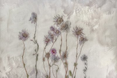 Weiche Pastellblumen von Marie-anne Stas