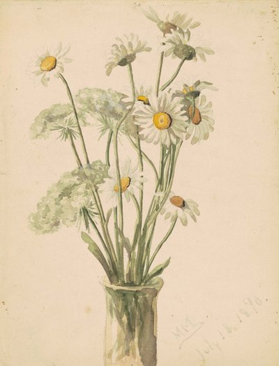 Gänseblümchen und Wilde Möhre in einer Vase, 1890 von Marietta Minnegerode Andrews