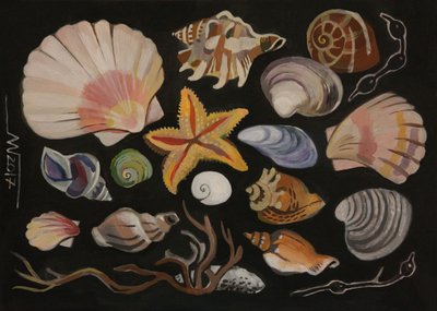 Muschelsammlung von Marina Gorkaeva
