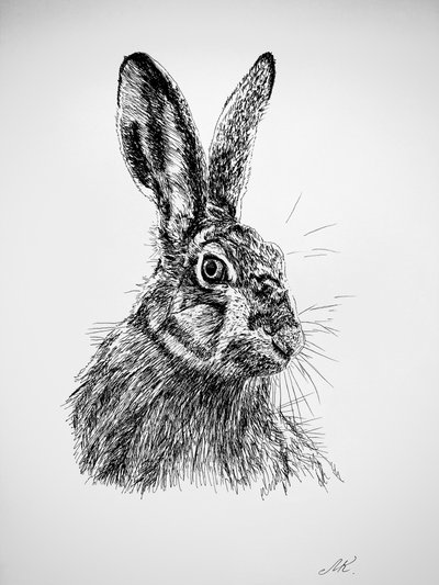 Neugierige Hasenzeichnung von Marina Kozyr