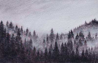 Neblige Waldlandschaft von Marina Kozyr
