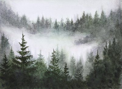 Stille im nebligen Wald von Marina Kozyr