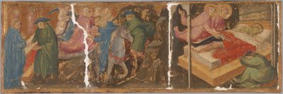 Szenen aus der Legende der Heiligen Cosmas und Damian von Mariotto di Nardo