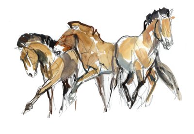 Mistral Drei (Przewalski) von Mark Adlington