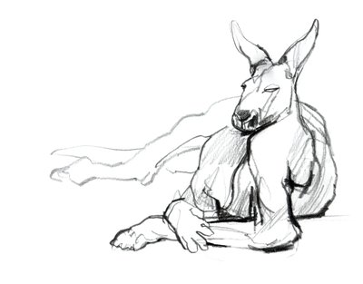 Ruhender Athlet (Rotes Känguru), 2012 von Mark Adlington