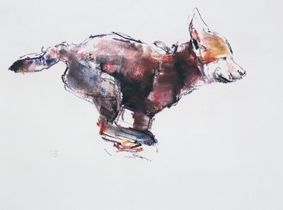 Laufender Wolfswelpe von Mark Adlington