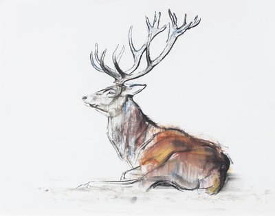Sitzender Hirsch, 2006 von Mark Adlington