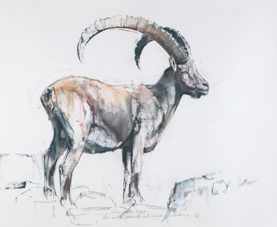 Venerando Stambecco, 2006 von Mark Adlington
