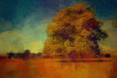 Der ganze Sommer an einem Tag von Mark Gordon