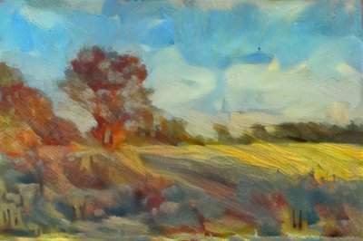 Calke Park von Mark Gordon