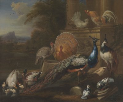 Pfauen, Tauben, Truthähne, Hühner und Enten bei einer klassischen Ruine von Marmaduke Cradock