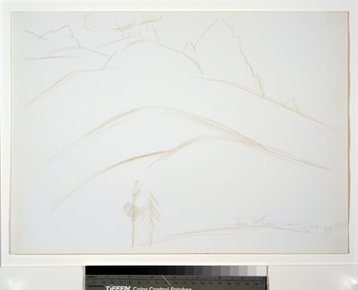 Berglandschaft mit zwei Kiefern von Marsden Hartley