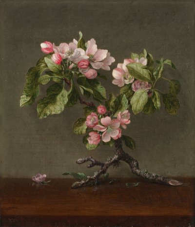 Apfelblüten von Martin Johnson Heade