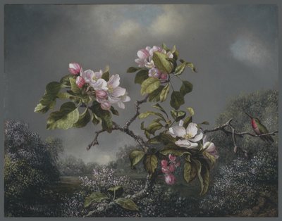 Apfelblüten und Kolibri, 1871 von Martin Johnson Heade