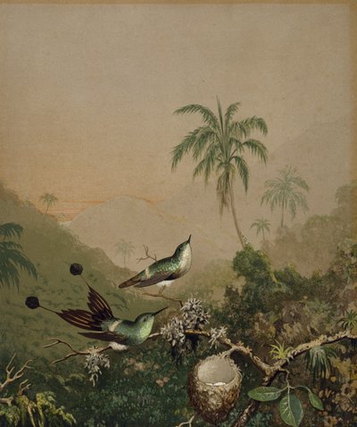 Brasilianische Kolibris II, ca. 1864-1865 von Martin Johnson Heade