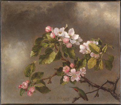 Kolibri und Apfelblüten von Martin Johnson Heade