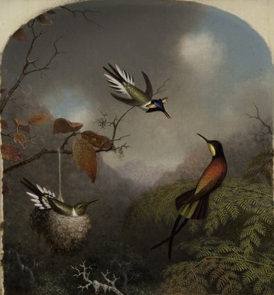Kolibris: Zwei Sonnenjuwelen und ein Purpur-Topas, 1866 von Martin Johnson Heade
