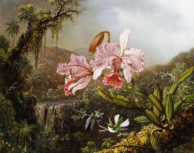 Orchideen und Kolibris im brasilianischen Dschungel von Martin Johnson Heade