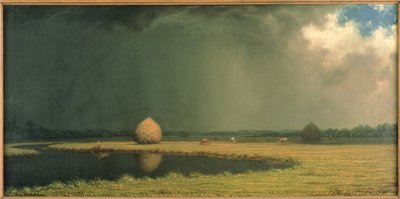 Salzmarsh-Heu von Martin Johnson Heade