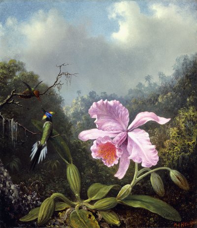 Stillleben mit Orchidee und Paar Kolibris, ca. 1890er von Martin Johnson Heade