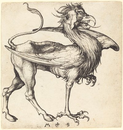 Der Greif von Martin Schongauer