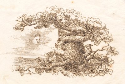 Illustration zu "Halvhundrede Fabler for Børn" von Hey von Martinus Rørbye