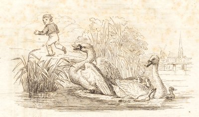 Illustration zu "Halvhundrede Fabler for Børn" von Hey von Martinus Rørbye