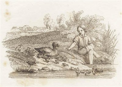 Illustration zu "Halvhundrede Fabler for Børn" von Hey von Martinus Rørbye