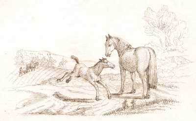 Illustration zu "Halvhundrede Fabler for Børn" von Hey von Martinus Rørbye