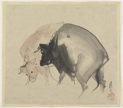Zwei Stiere von Maruyama Oju
