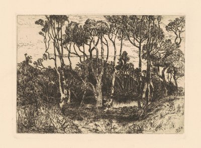 Einsamkeit von Mary Nimmo Moran