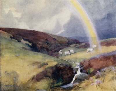Die Quelle des Clyde von Mary Young Hunter