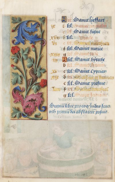 Blumenpanel mit Akanthus, Rosa und Raupe, aus den Stunden von Louis XII, 1498-99 von Master Claude de France
