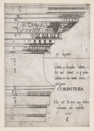 Speculum Romanae Magnificentiae: Gebälk vom Tempel der Castor und Pollux, Rom, 1537 von Master PS