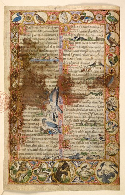 Add. 28841, f.1, Geometrische ganzseitige Ränder von Rhomboiden, Rundeln und Vierpässen, bewohnt von Tieren und figürlichen Szenen: Vögel, Reptilien und Tiere, einschließlich Löwen, die andere Kreaturen angreifen, und Vögel, die miteinander kämpfen, ein Ha von Master of the Cocharelli Codex