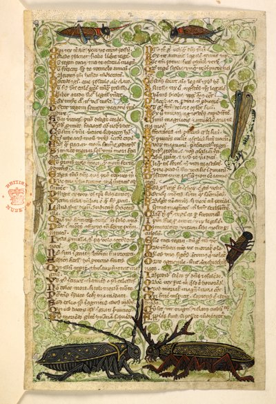 Add. 28841, f.2: Gehörnte Käfer, Grillen und eine Heuschrecke. Traktat über die Tugenden und Laster und eine anonyme Prosageschichte Siziliens (Fragment) Cocharelli von Master of the Cocharelli Codex