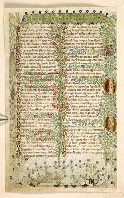 Raupen, Schnecken und andere Insekten, aus einem Traktat über die Tugenden und Laster und einer anonymen Prosageschichte Siziliens (Fragment), ca. 1330-40 von Master of the Cocharelli Codex