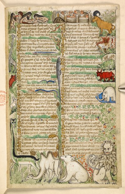 Add. 28841, f.3: Kannibalen, eine ummauerte Stadt und exotische Tiere, darunter eine Giraffe, ein Löwe, ein Kamel und ein Elefant, aus einem Traktat über Tugenden und Laster und einer anonymen Prosageschichte Siziliens (Fragment), ca. 1330-40 von Master of the Cocharelli Codex