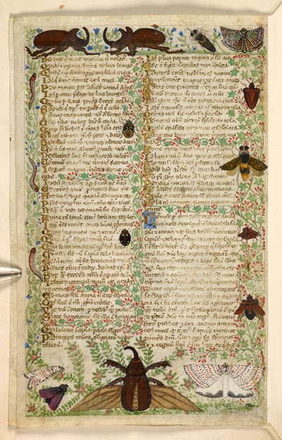 Add. 28841, f.4v: Motten und gehörnte Käfer, aus einem Traktat über die Tugenden und Laster und einer anonymen Prosageschichte Siziliens (Fragment), ca. 1330-40 von Master of the Cocharelli Codex