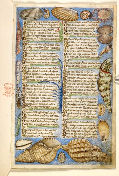 Add. 28841, f.5: Muscheln und Meereskreatur, aus einem Traktat über die Tugenden und Laster und einer anonymen Prosageschichte Siziliens (Fragment), ca. 1330-40 von Master of the Cocharelli Codex