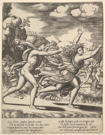 Apollo jagt Daphne, die ihre Arme hochwirft von Master of the Die