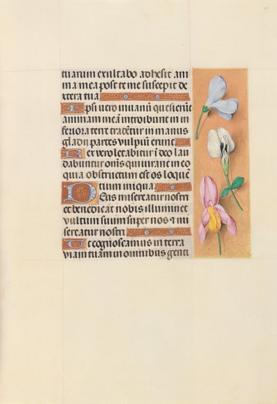 Stundenbuch der Königin Isabella der Katholischen, Königin von Spanien: Fol. 118r, ca. 1500 von Master of the First Prayerbook of Maximillian